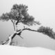 Black and White Landscape Photography by Oliver Robert