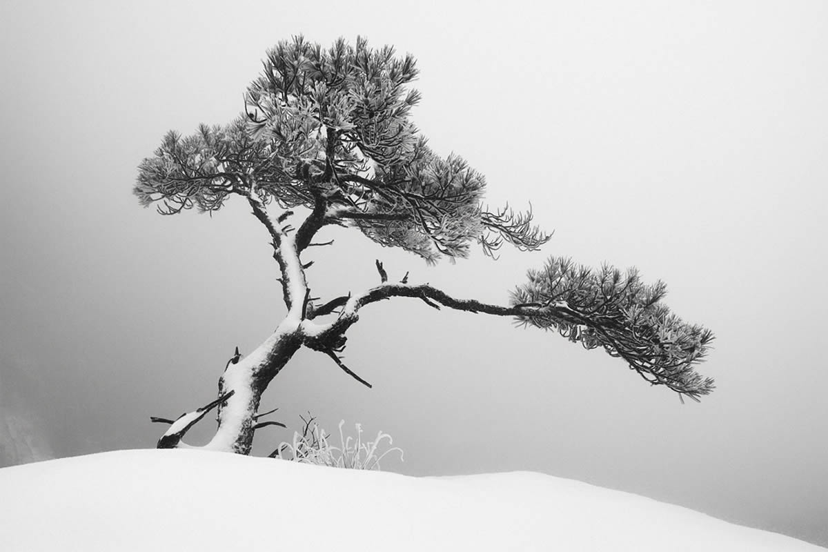 Black and White Landscape Photography by Oliver Robert