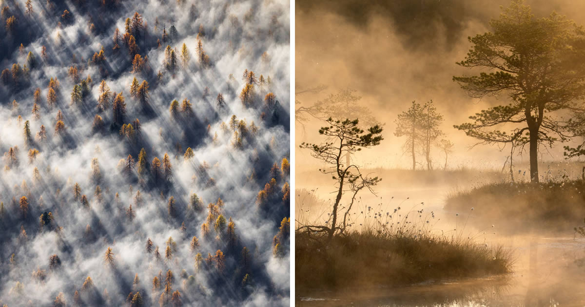 20 Amazing Landscapes Winners from the 2024 European Wildlife Photographer of the Year Awards