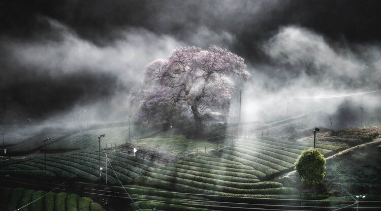 Japan Landscape Photography by Hiroki Matsubara