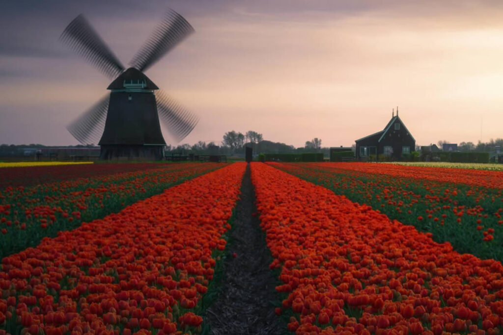 Landscape Photography by Sandeep Mathur