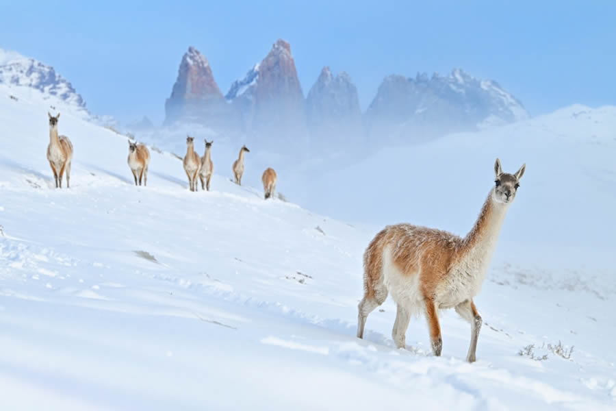 Nature Photographer of the Year 2024 Winners