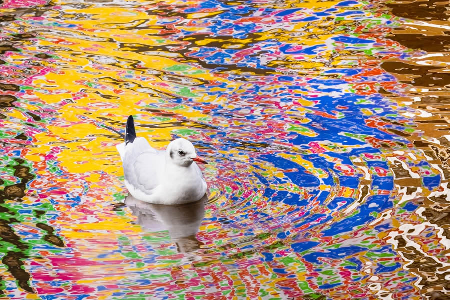 Nature Photographer of the Year 2024 Winners