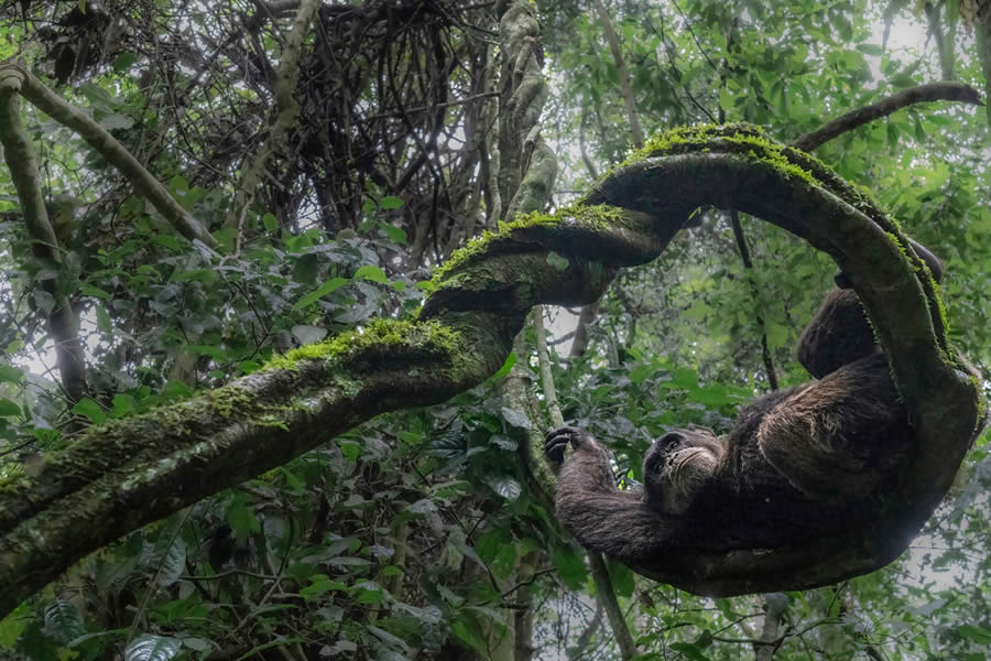 Our Nature Photo Awards 2024 Winners