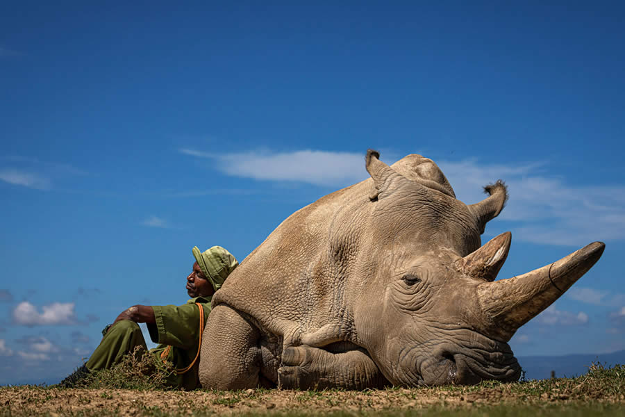 Our Nature Photo Awards 2024 Winners