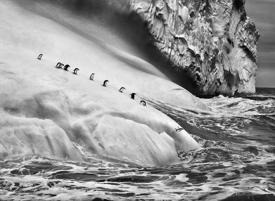 Sebastiao Salgado Famous Iconic Photos