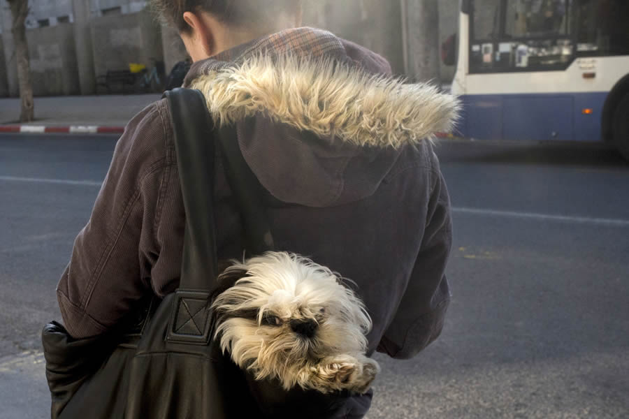 Israeli Street Photography by Ilan Ben Yehuda