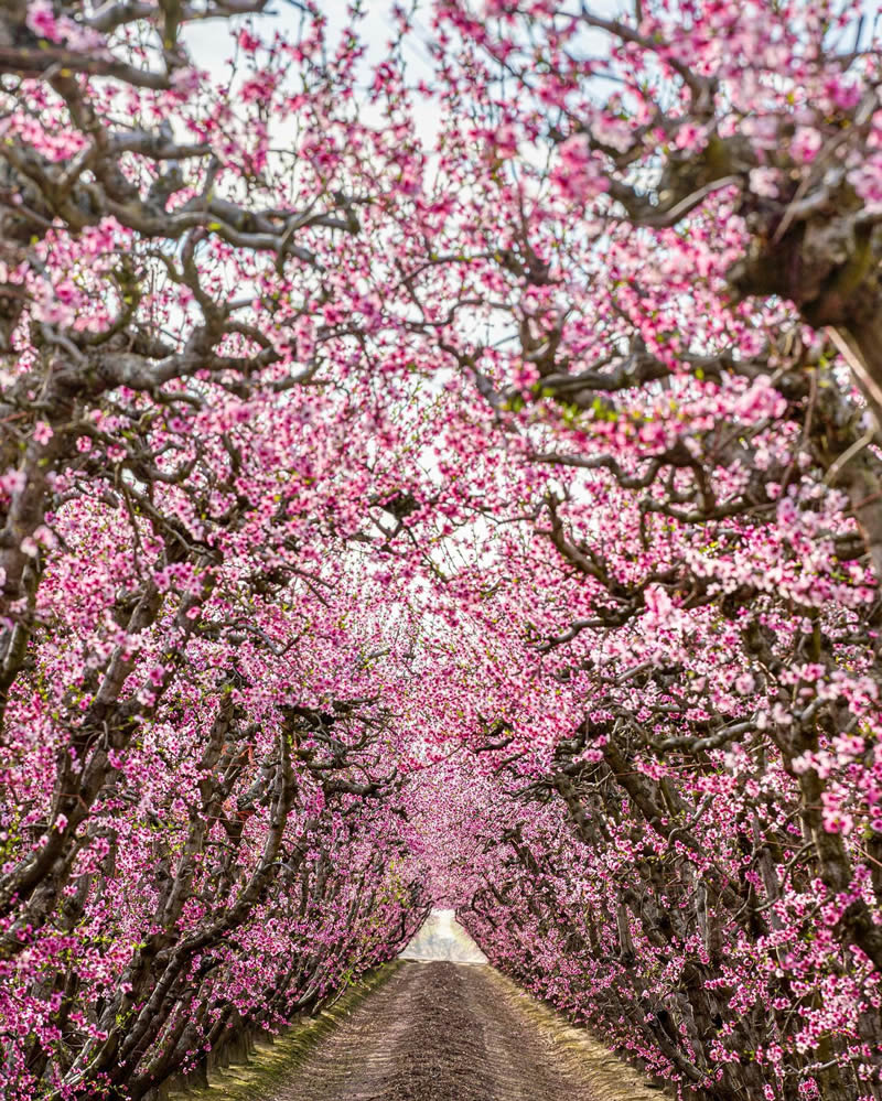 Travel and Landscape Photography by Pham Huy Trung