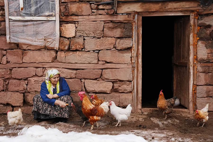 Everyday Life Street Photography by Turkish Photographer Esra Burcun