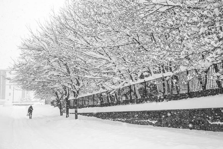 Everyday Life Street Photography by Turkish Photographer Esra Burcun