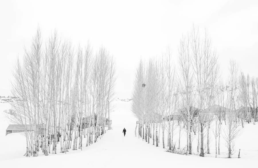 Everyday Life Street Photography by Turkish Photographer Esra Burcun