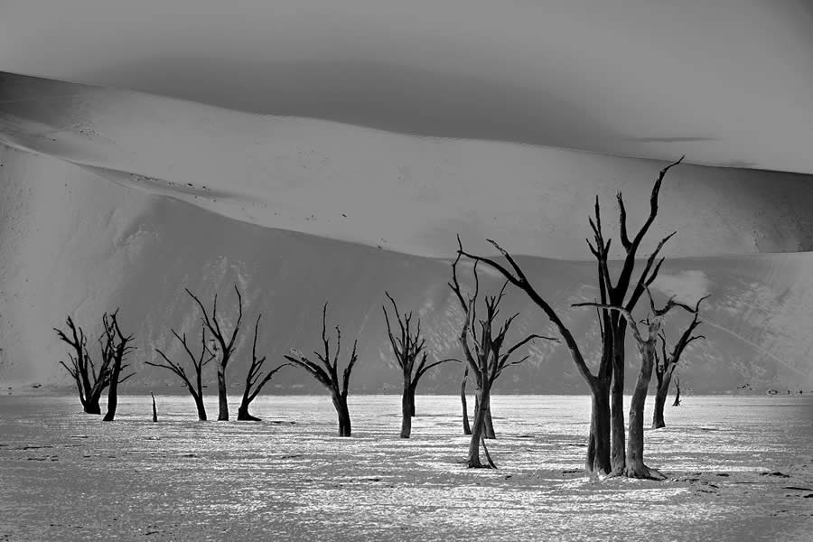 1839 Landscape Photographer of the Year Awards