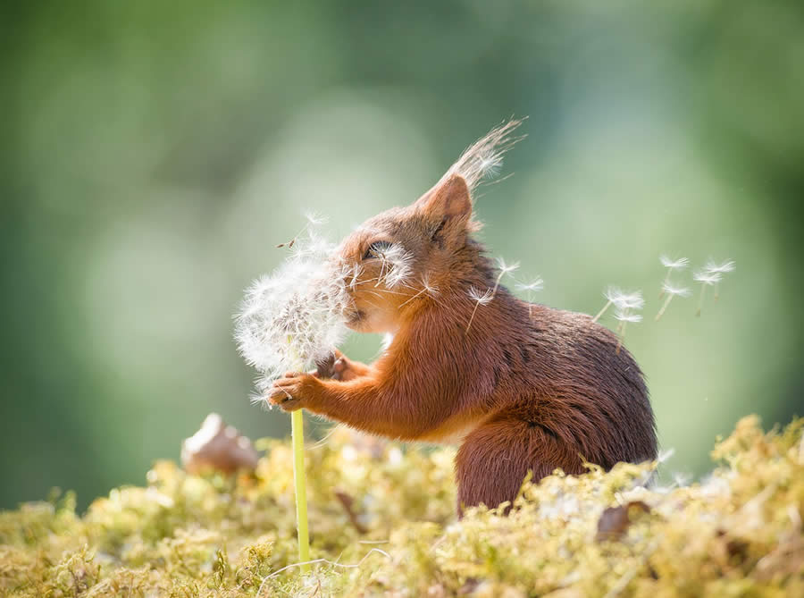 Wildlife Winners from the 1839 Photographer of the Year Awards