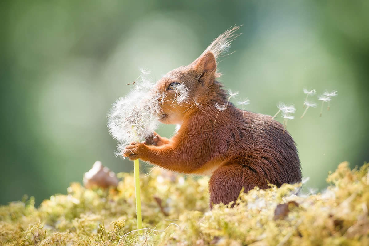 Wildlife Winners from the 1839 Photographer of the Year Awards