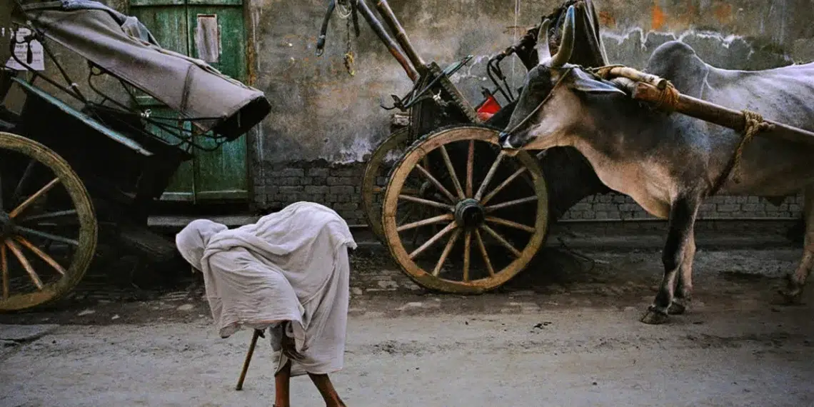 Person with ox cart on dusty street