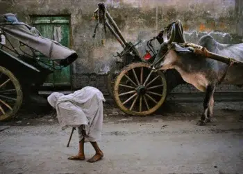 Person with ox cart on dusty street