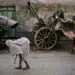 Person with ox cart on dusty street