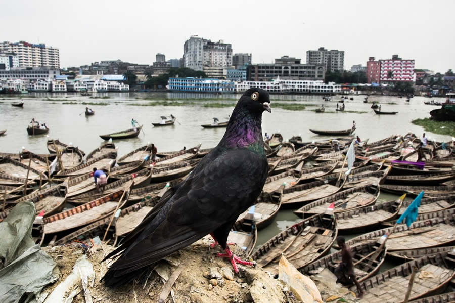 Bangladesh Street Photography by Md Enamul Kabir