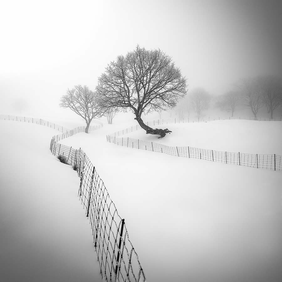 Black and White Fine Art Photography by Beomyoung Go