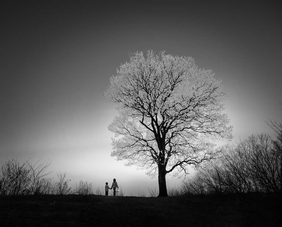 Black and White Fine Art Photography by Beomyoung Go