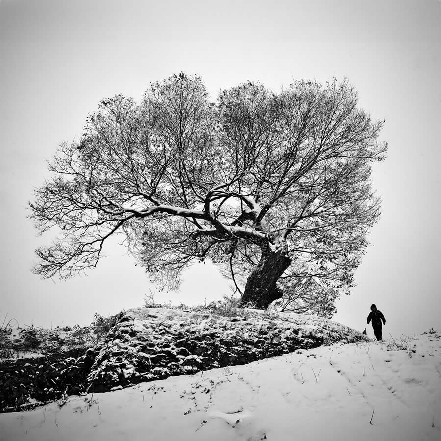 Black and White Fine Art Photography by Beomyoung Go