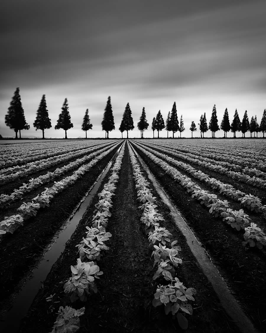 Black and White Fine Art Photography by Beomyoung Go