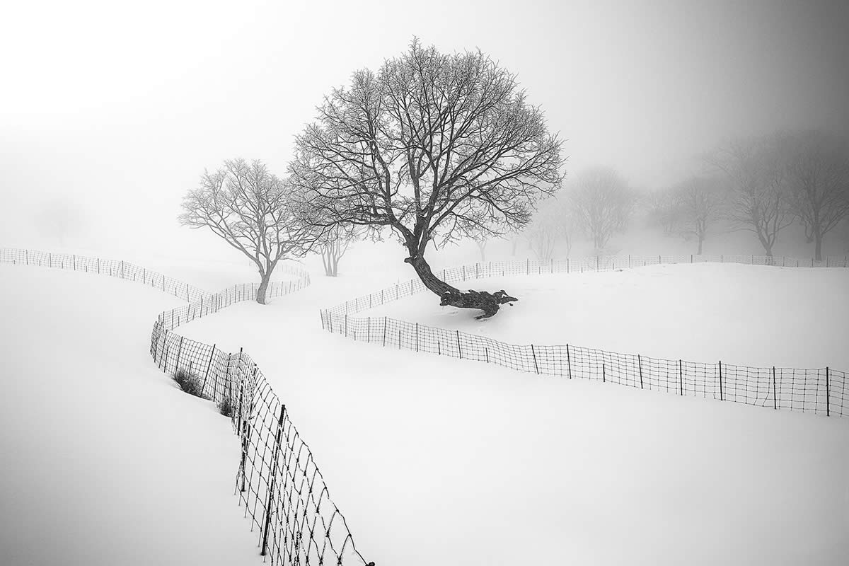 Black and White Fine Art Photography by Beomyoung Go