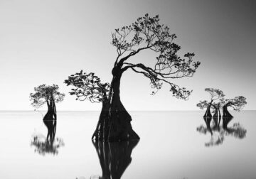 Black and White Landscape Photography by Yap Kh