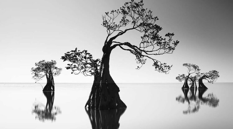 Black and White Landscape Photography by Yap Kh