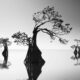 Black and White Landscape Photography by Yap Kh