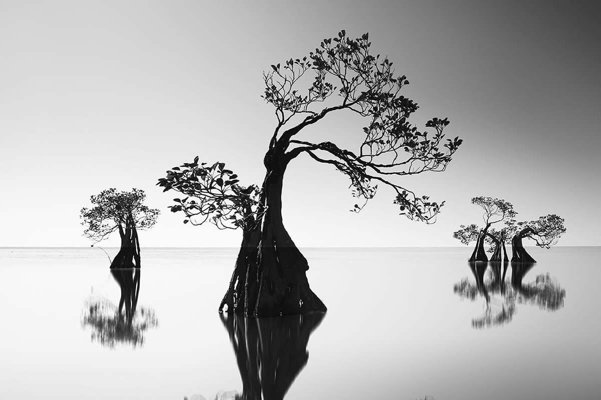 Black and White Landscape Photography by Yap Kh