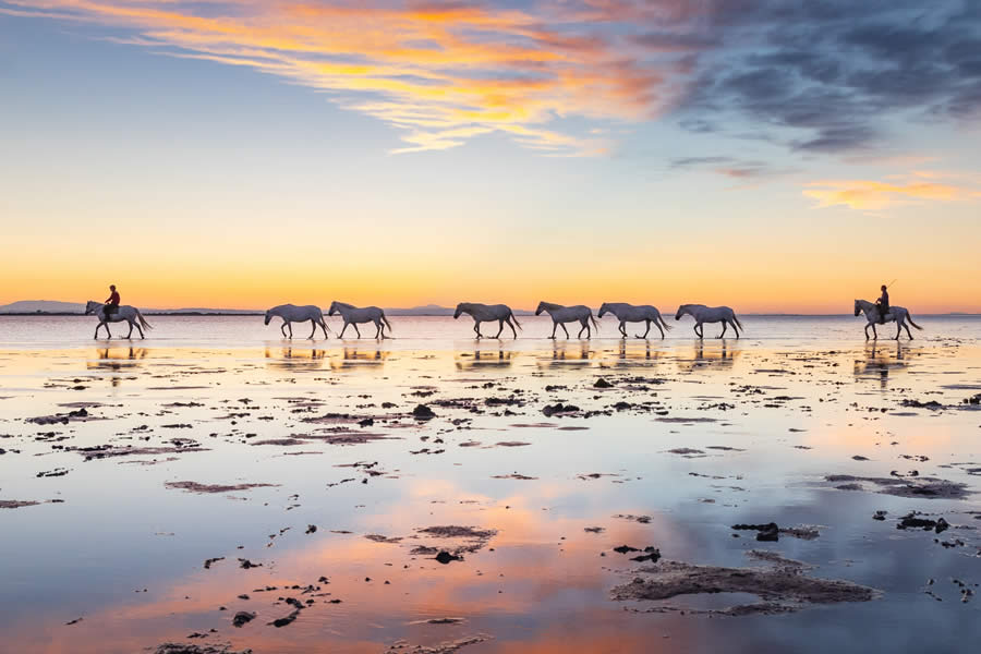 Budapest International Foto Awards 2024  Nature Winners