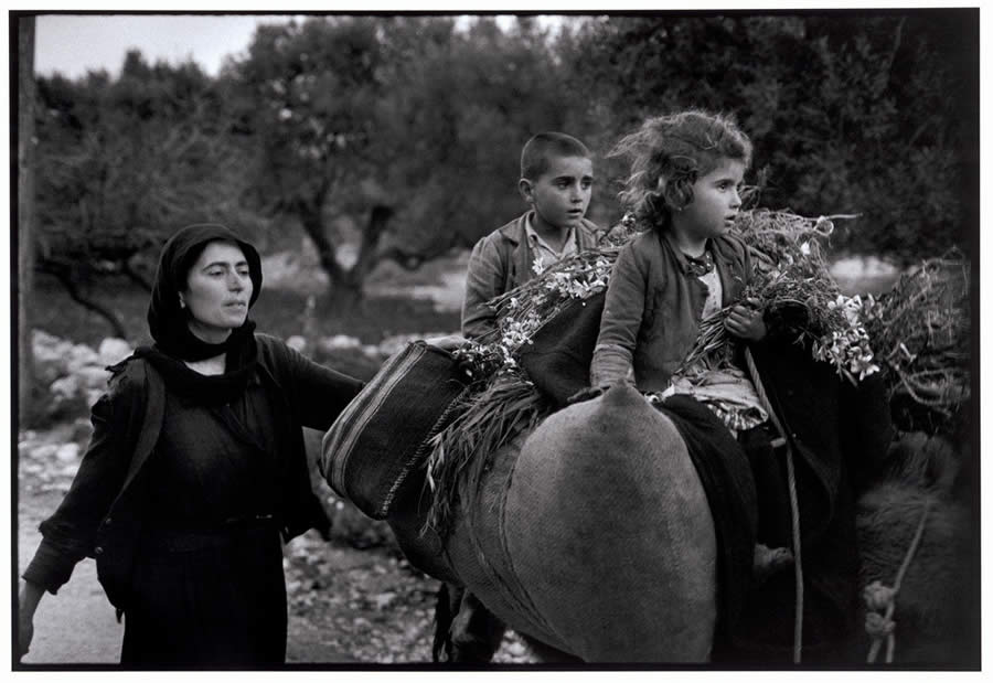 The Timeless Vision of Master Photographer Constantine Manos