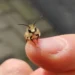 cute bug photo