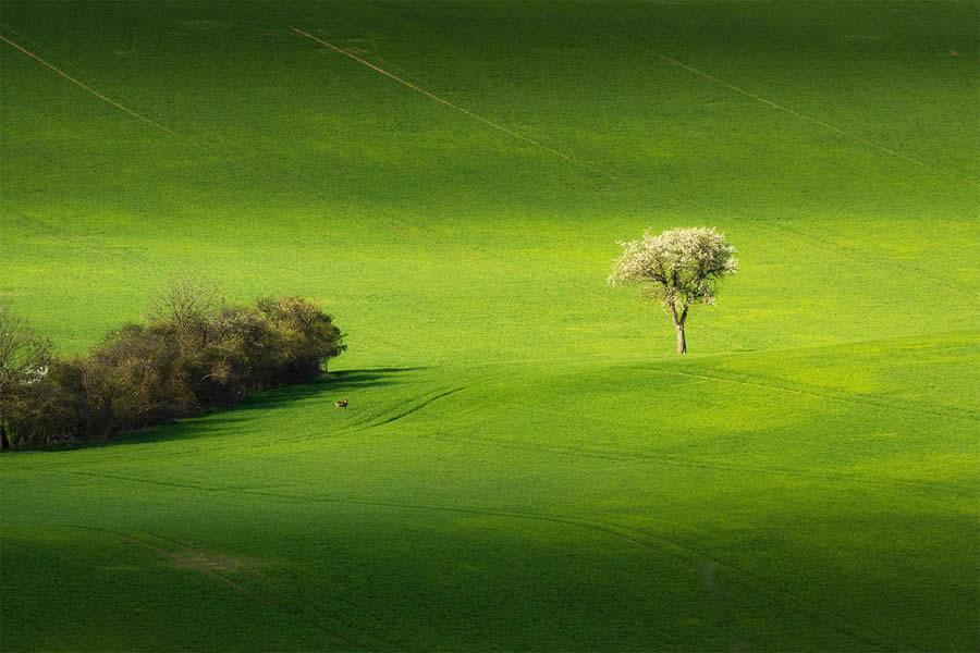 Czech Landscape Photography by Milan Chudoba