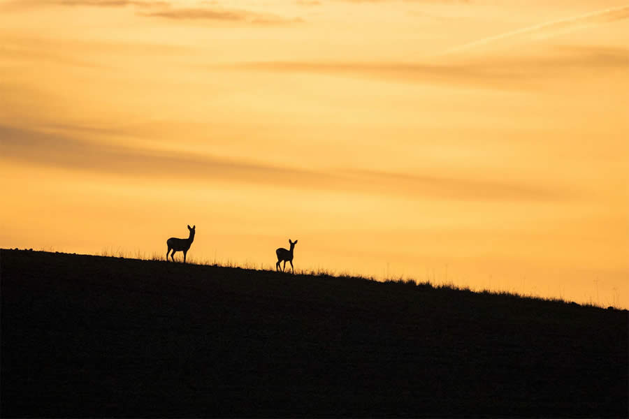 Czech Landscape Photography by Milan Chudoba