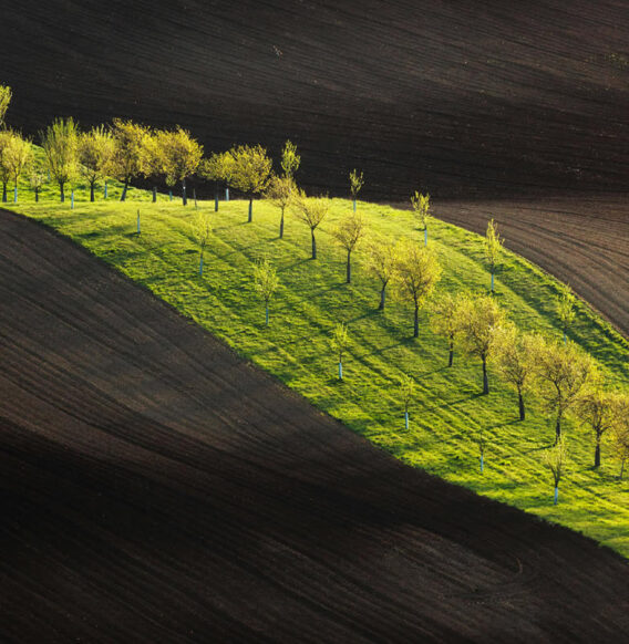 Dreamlike Vistas: Milan Chudoba Captures the Stunning Beauty of Czech Landscapes