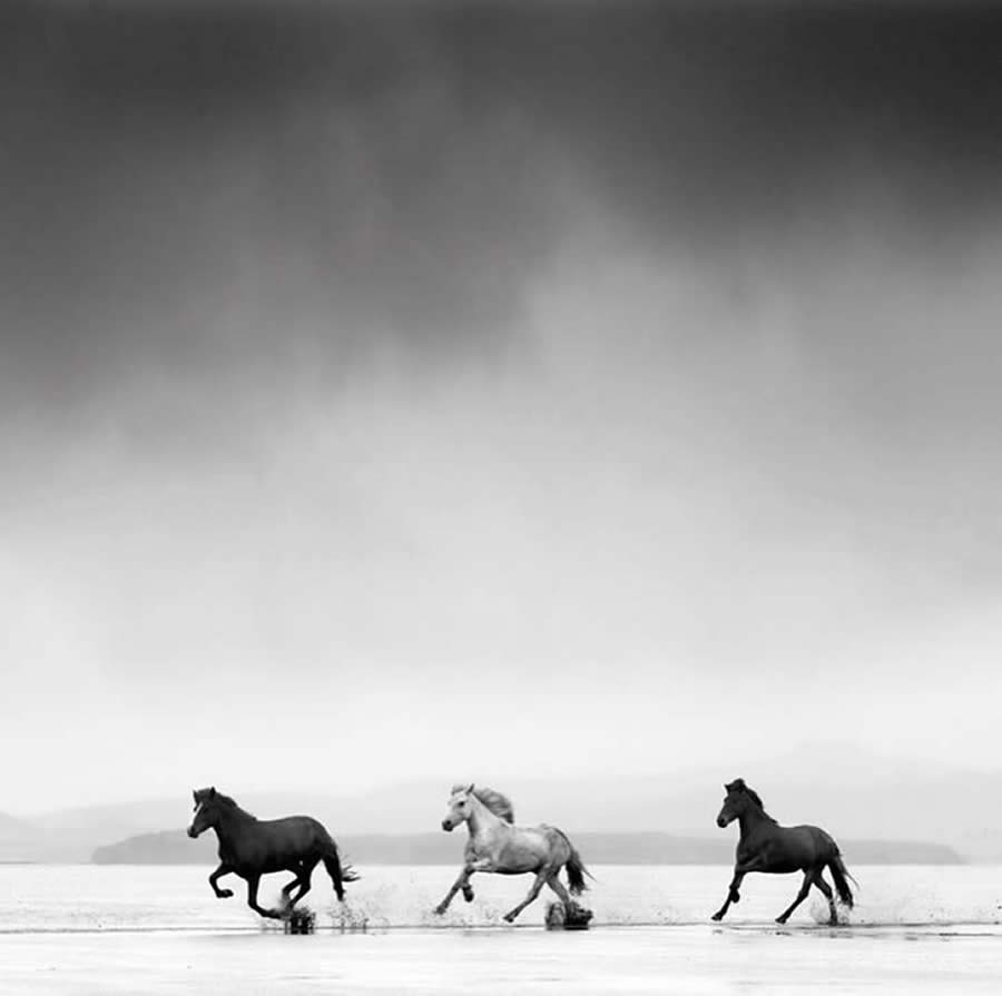 Black and White Fine Art Photography by Jonathan Chritchley