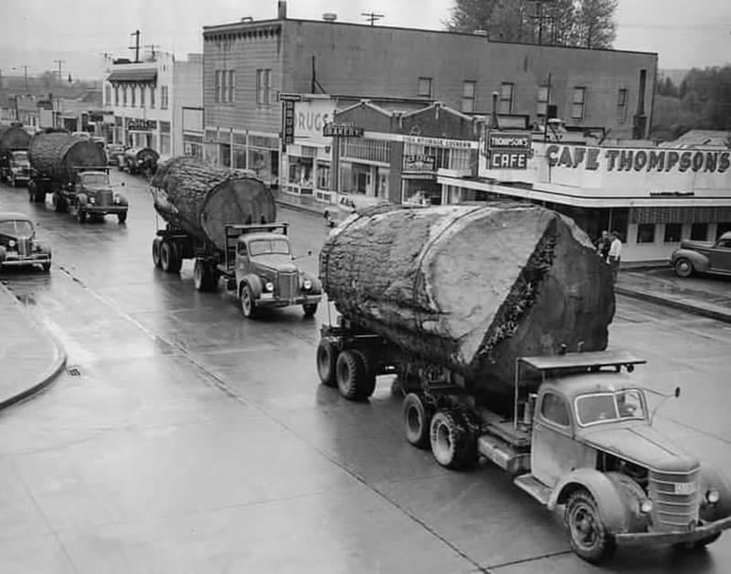 Historical Photos Capturing a Century of Transformation