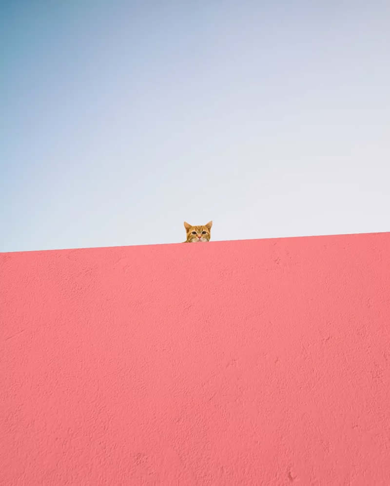 Photo Art Through Minimalist Mastery by Benjamin Wolf