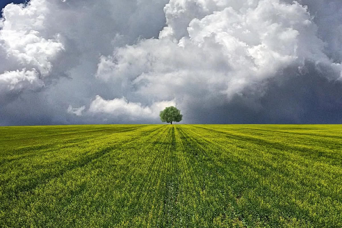 Photo Art Through Minimalist Mastery by Benjamin Wolf