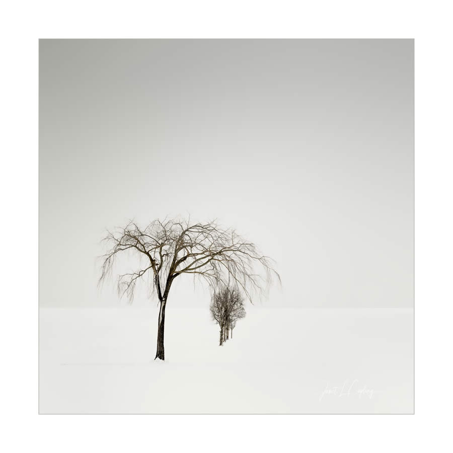 Minimalism Fine Art Landsape Photography by Janet Capling