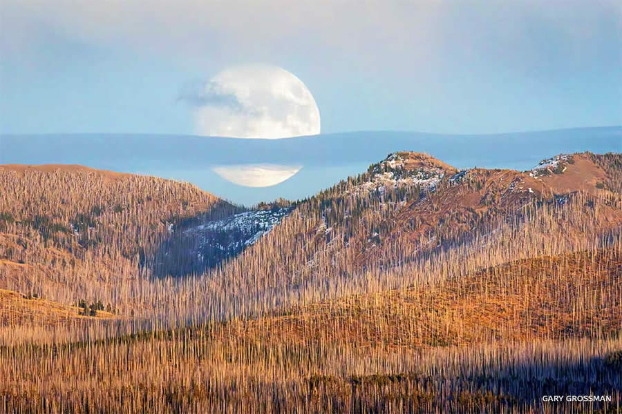 2024 National Wildlife Photo Contest Winners