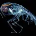 national wildlife contest winners 2024