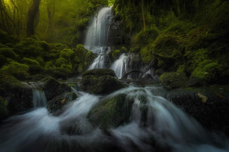 Landscape Winners of the Nature Photography Contest 