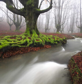 22 Captivating Nature Photos That Will Take Your Breath Away