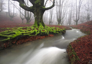 22 Captivating Nature Photos That Will Take Your Breath Away