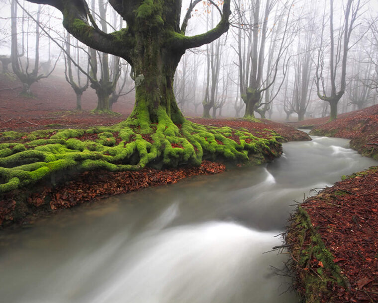 22 Captivating Nature Photos That Will Take Your Breath Away