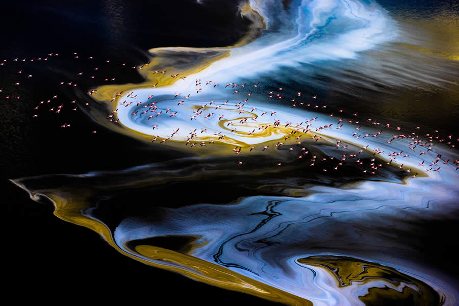 2024 OurNature Environmental Photography Awards