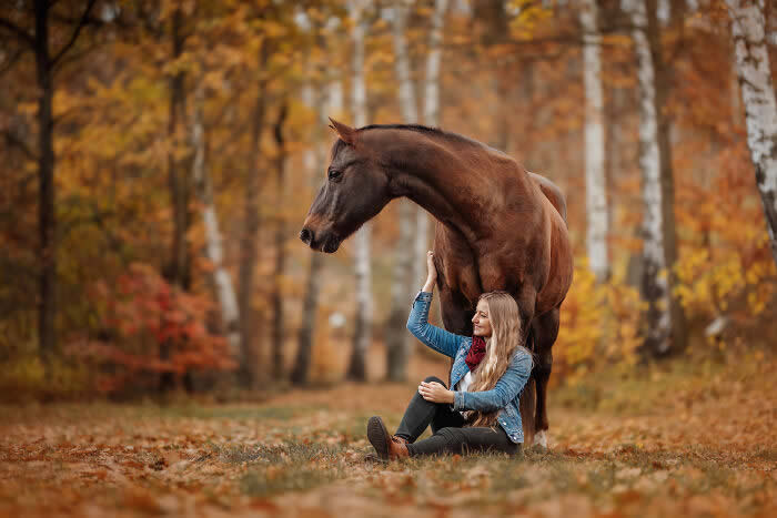 International Pet Photographer of the Year Awards 2024 Winners